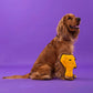 Dash Dog Wild Lion Comfort Dog Toy - Yellow - Heads Up For Tails