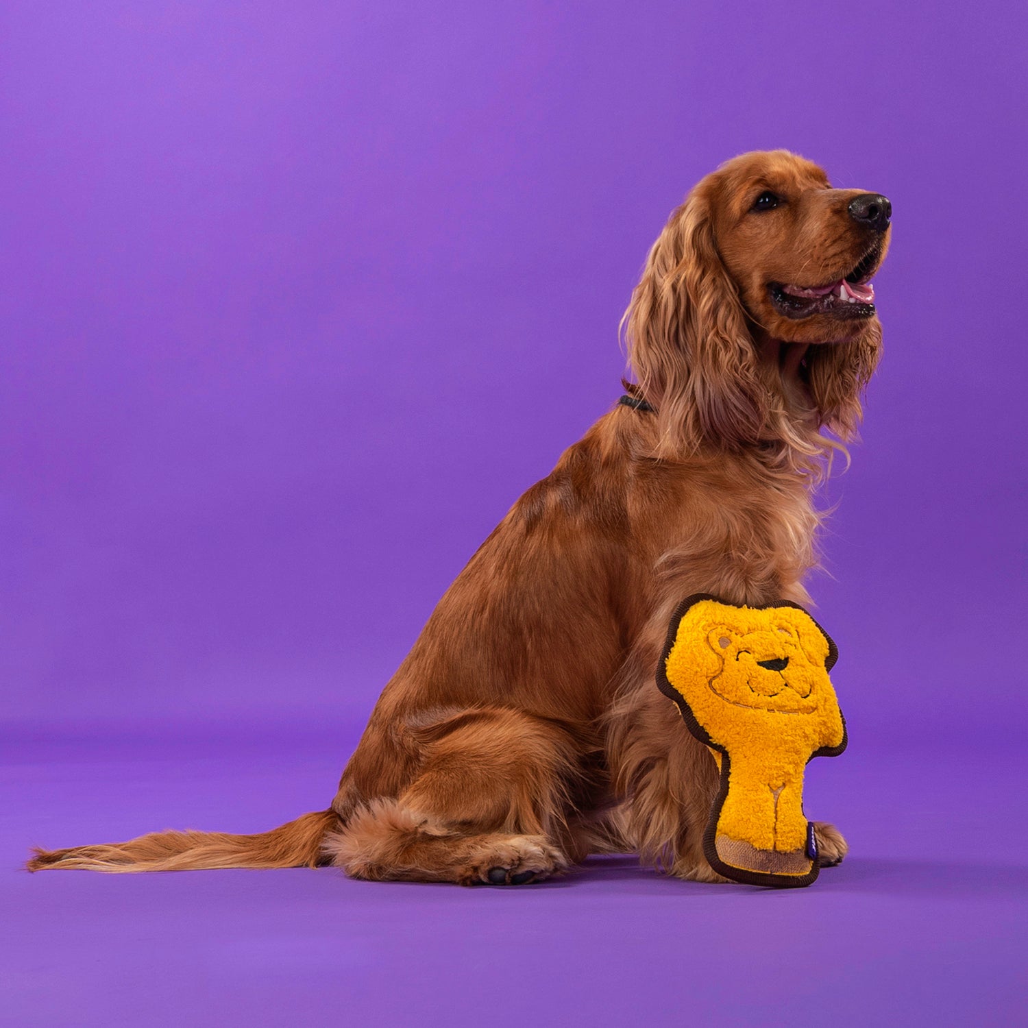 Dash Dog Wild Lion Comfort Dog Toy - Yellow - Heads Up For Tails