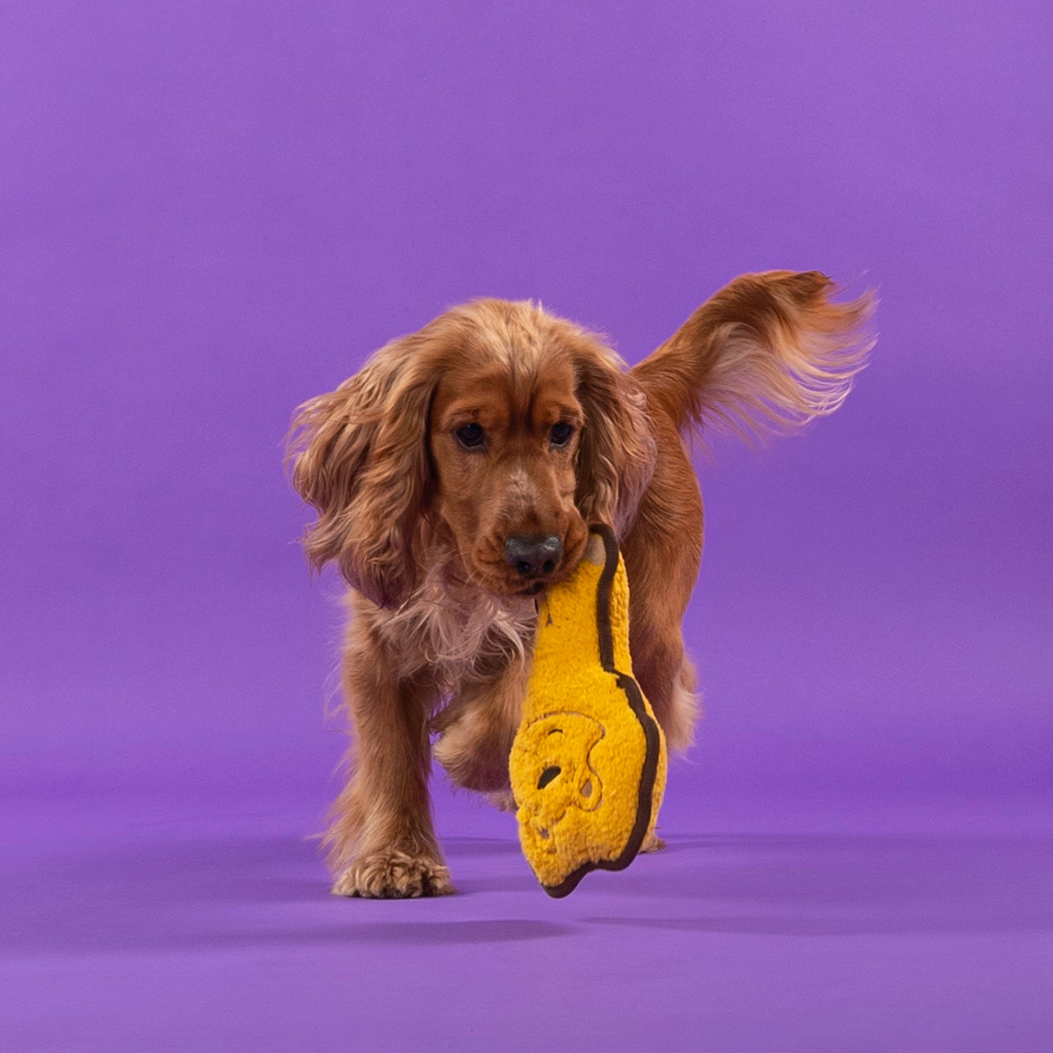 Dash Dog Wild Lion Comfort Dog Toy - Yellow - Heads Up For Tails
