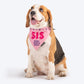 HUFT Sis - Steals Treats & Hearts Dog Bandana - Heads Up For Tails