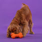 Dash Dog Screwdriver Chew Dog Toy - Orange_06