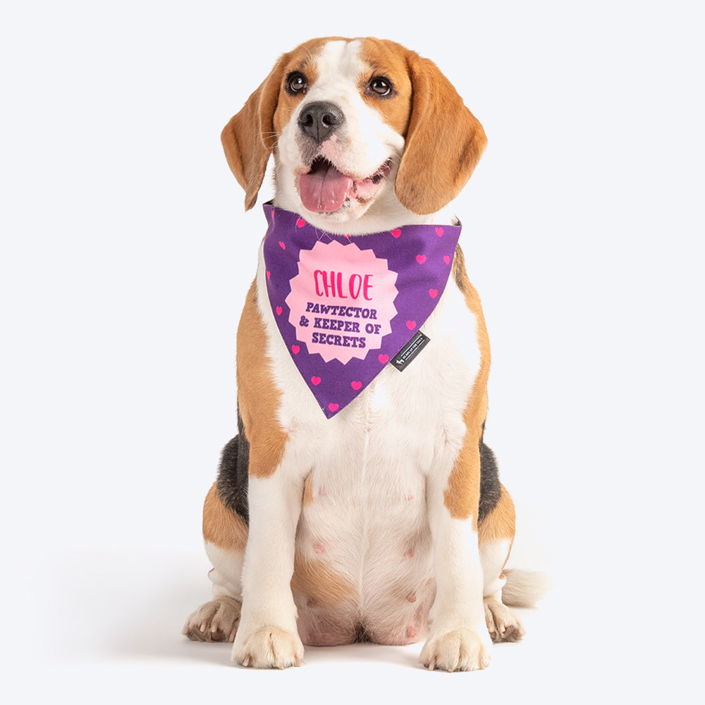 HUFT Personalised Sister - Pawtector & Keeper of Secrets Bandana - Heads Up For Tails