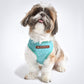HUFT The Indian Collective Aranya Small Dog Harness - Sky Blue - Heads Up For Tails