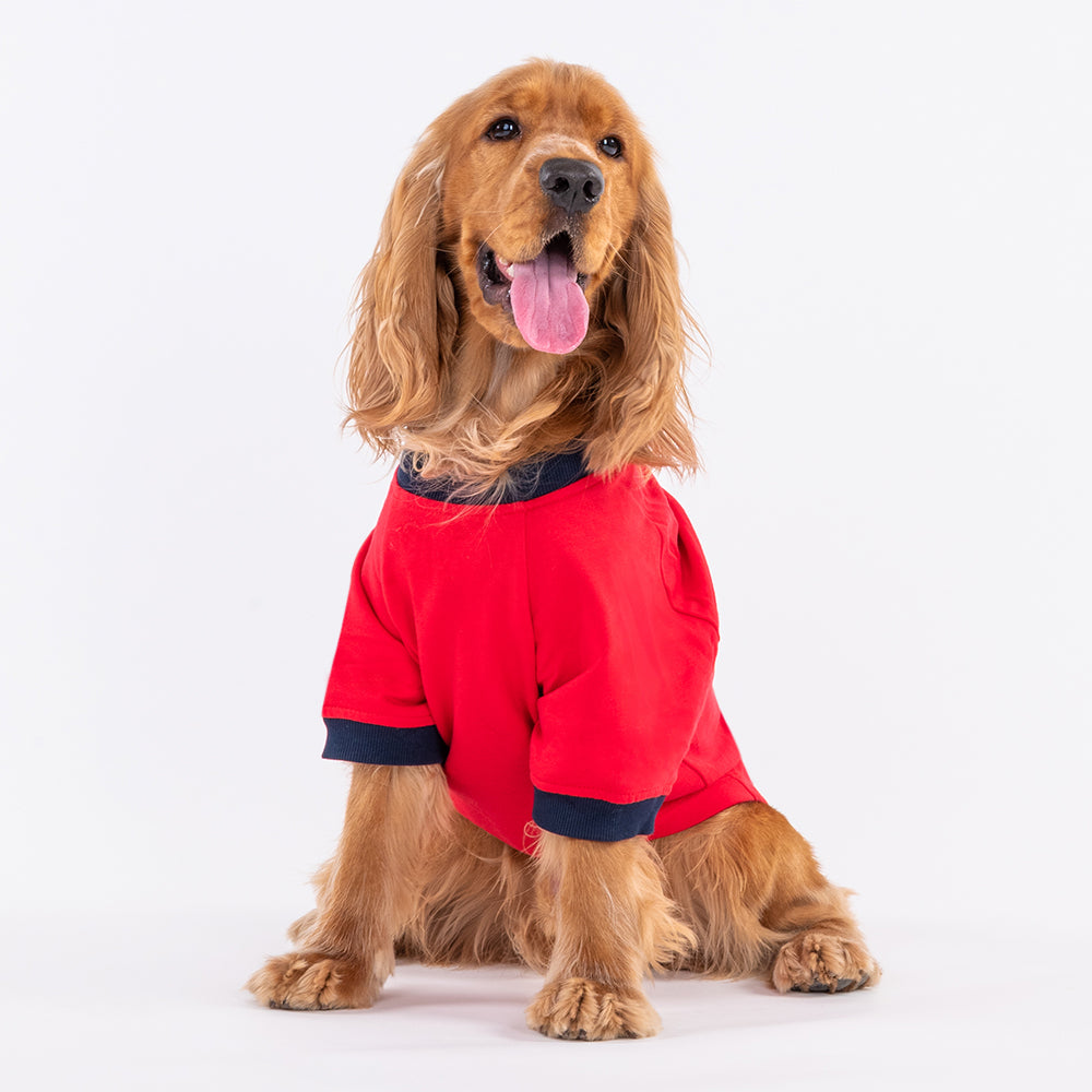 HUFT Fleece Dog Sweatshirt - Red-2