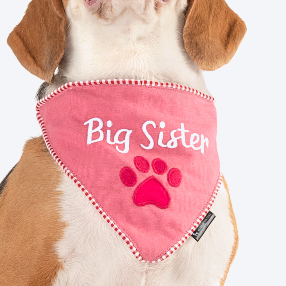 HUFT Big Sister Dog Bandana - Heads Up For Tails