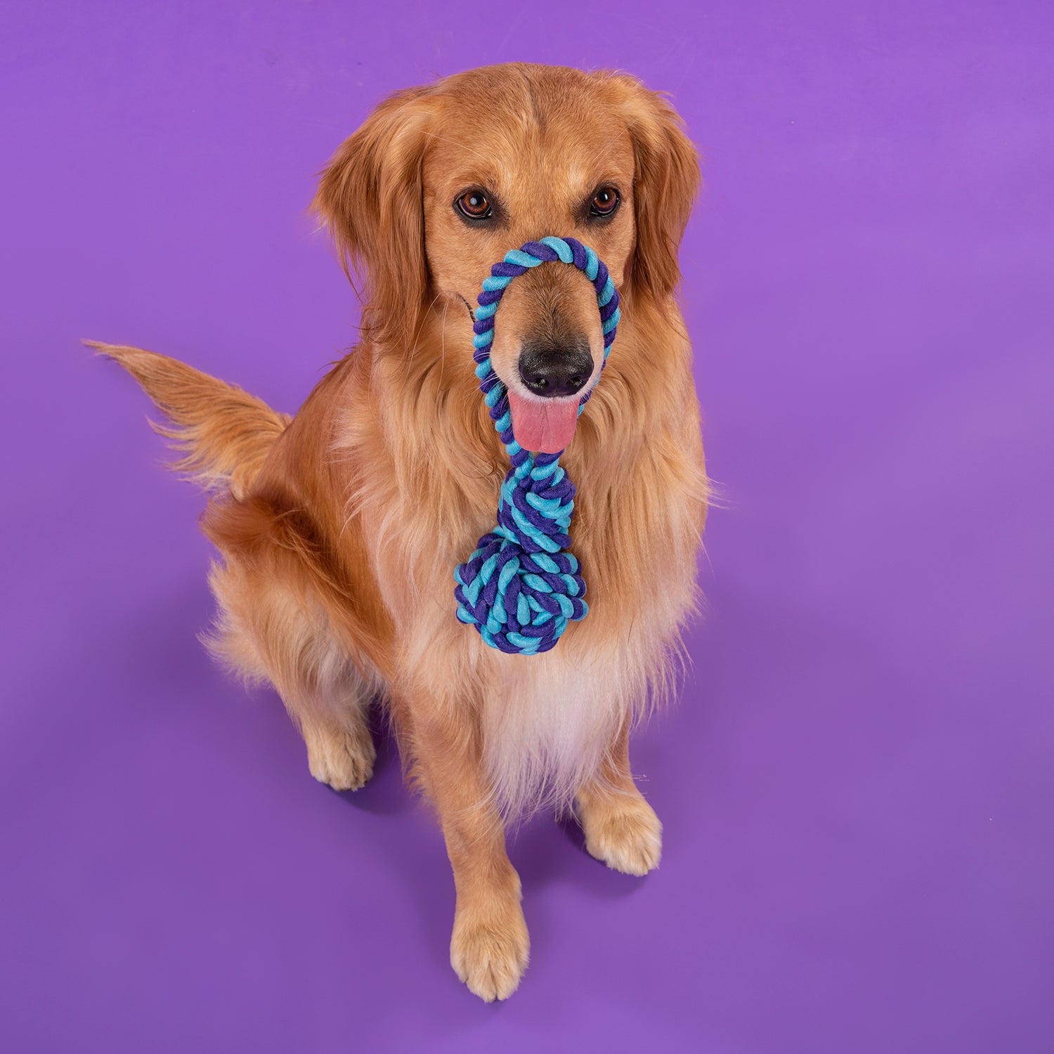 Dash Dog Beat The Blues Rope Dog Toy - Light Blue & Violet - Heads Up For Tails