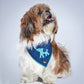 HUFT The Indian Collective Haathi Double Sided Dog Bandana - Heads Up For Tails