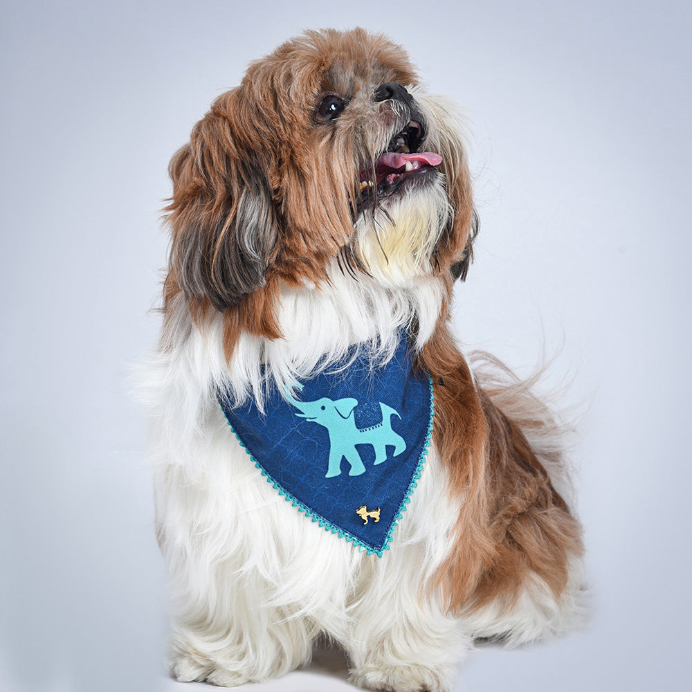 HUFT The Indian Collective Haathi Double Sided Dog Bandana - Heads Up For Tails