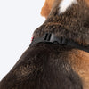 HUFT Big Sister Dog Bandana - Heads Up For Tails