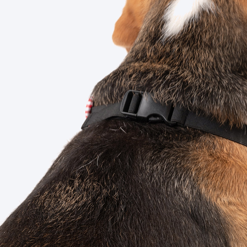 HUFT Big Sister Dog Bandana - Heads Up For Tails