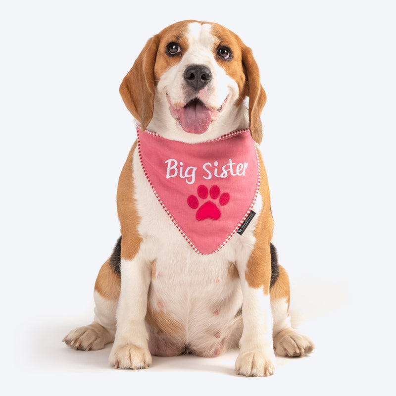 HUFT Big Sister Dog Bandana - Heads Up For Tails