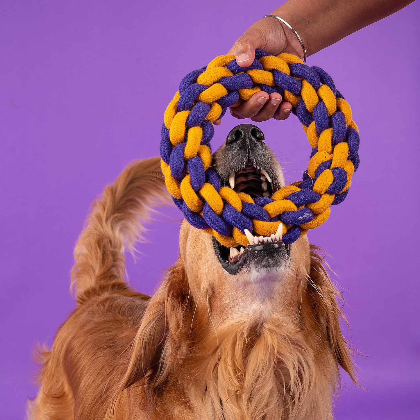 Dash Dog Round Trip Rope Dog Toy - Mustard & Violet_07