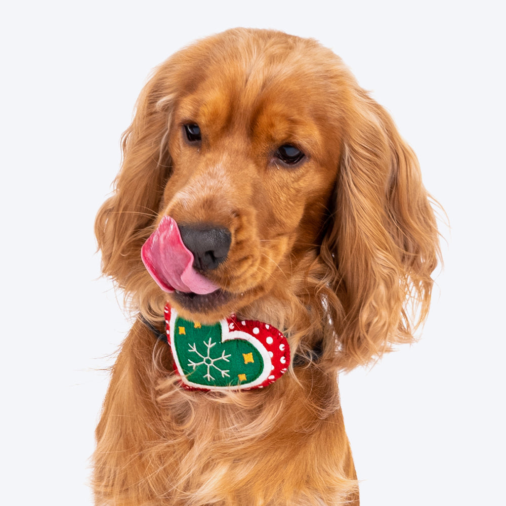 HUFT Christmas Darling Dog Collar Insert (Red and Green) - Heads Up For Tails