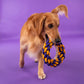 Dash Dog Round Trip Rope Dog Toy - Mustard & Violet_06