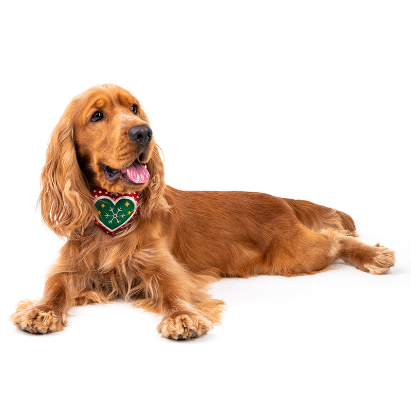 HUFT Christmas Darling Dog Collar Insert (Red and Green) - Heads Up For Tails