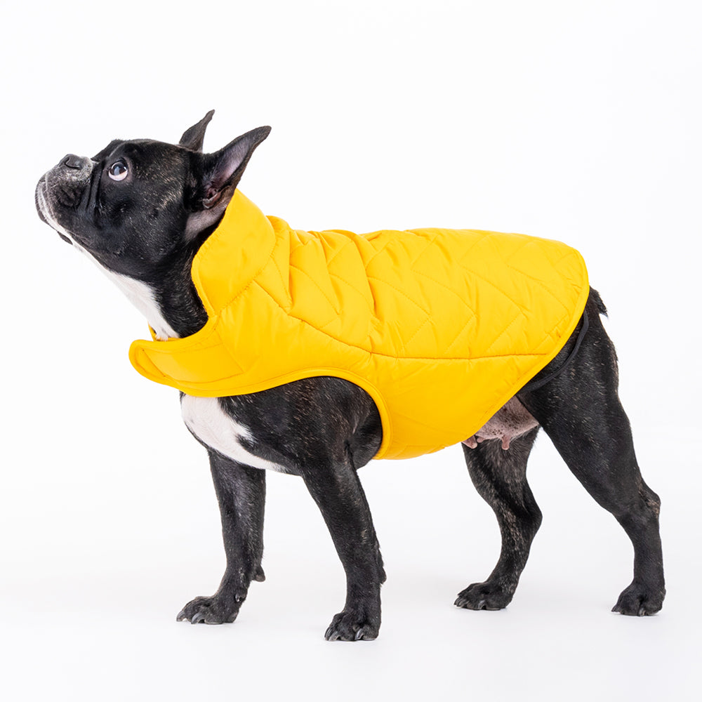 HUFT Wintersong Reversible Dog Jacket - Yellow - Heads Up For Tails