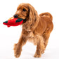 HUFT Rudolph Cuddle Dog Toy (Red and Green) - Heads Up For Tails