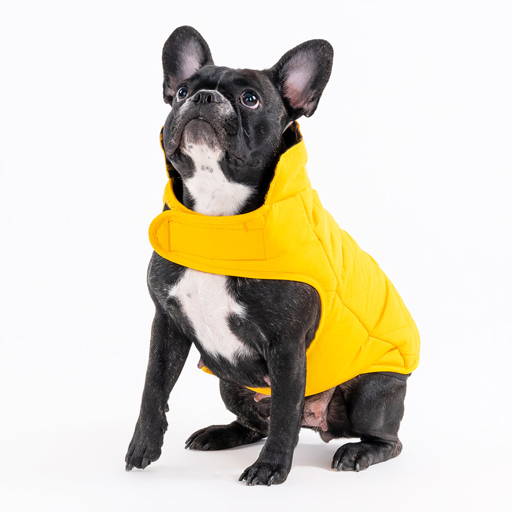 HUFT Wintersong Reversible Dog Jacket - Yellow - Heads Up For Tails