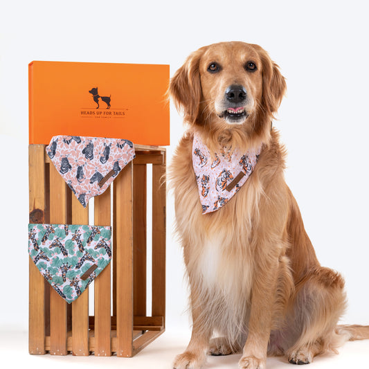 HUFT Jungle Collection Dog Bandana Combo - Heads Up For Tails