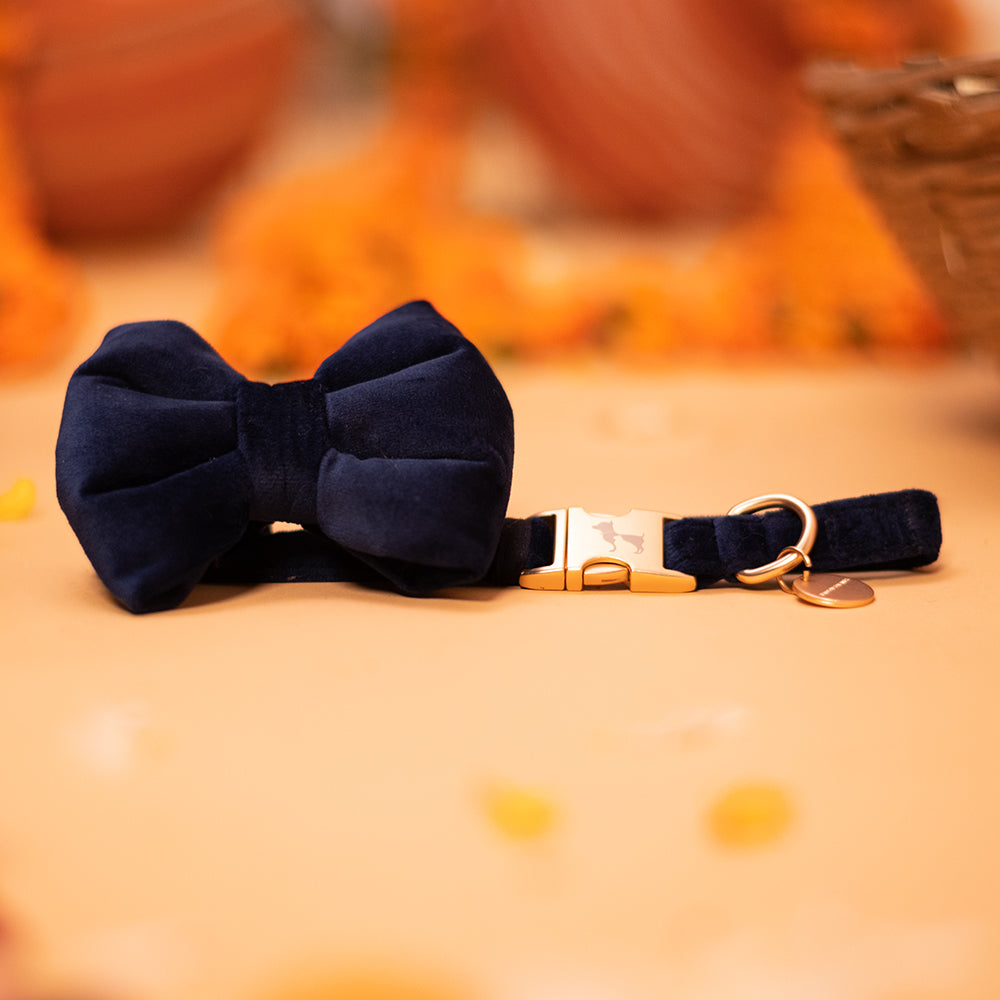 HUFT Sapphire Royale Velvet Collar With Bow Tie For Dogs - Navy - Heads Up For Tails