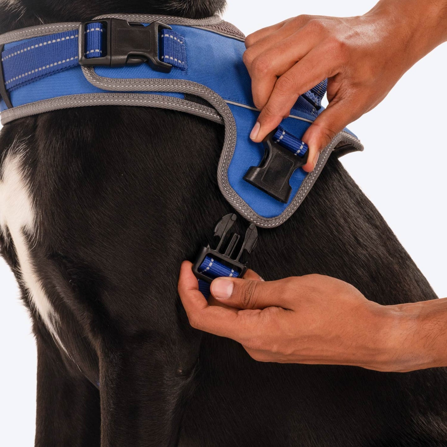 HUFT Easy On Dog Harness - Blue (Can be Personalised) - Heads Up For Tails