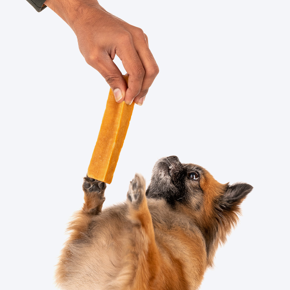 Paw safe bone outlet brush