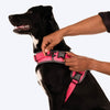 HUFT Easy On Dog Harness - Pink (Can be Personalised) - Heads Up For Tails