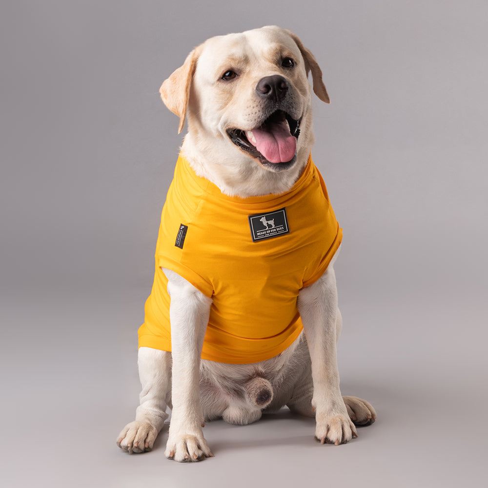 HUFT Best Dog Ever T-Shirt For Dog - Yellow - Heads Up For Tails