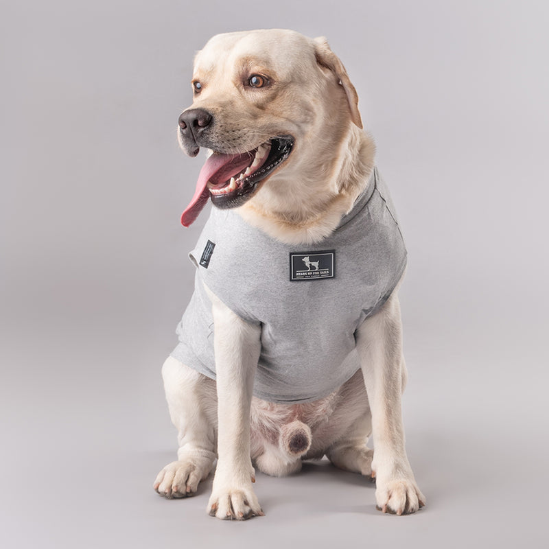 HUFT Sports Champ Dog Tshirt - Heads Up For Tails