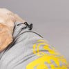 HUFT Sports Champ Dog Tshirt - Heads Up For Tails