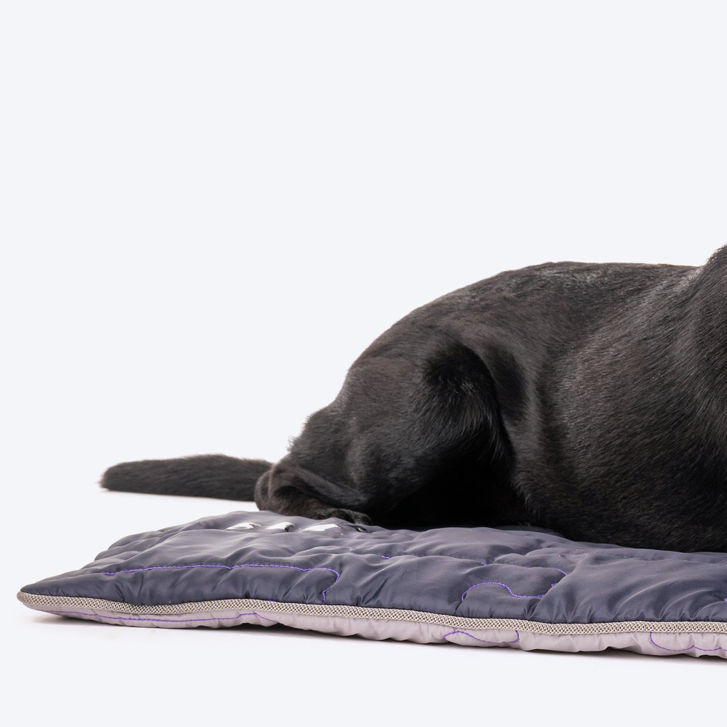 Dash Dog On-The-Go Reversible Outdoor Dog Mat - Navy & Grey - Heads Up For Tails