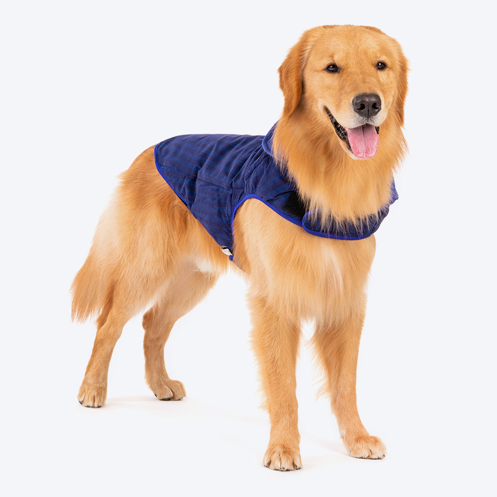 HUFT Wintersong Corduroy Reversible Dog Jacket - Blue - Heads Up For Tails