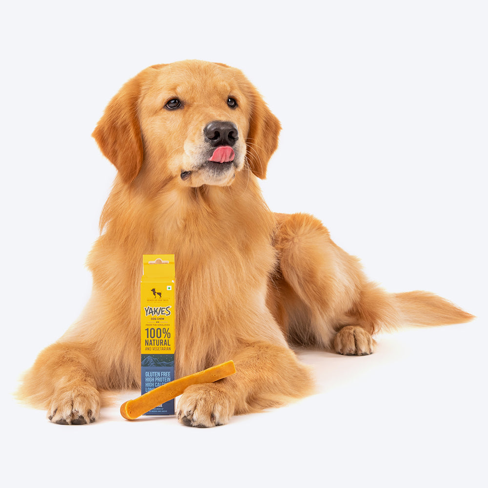 All natural best sale dog chew bones