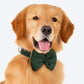 HUFT Emerald Royale Velvet Collar With Bow Tie For Dogs - Green - Heads Up For Tails