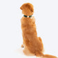 HUFT Emerald Royale Velvet Collar With Bow Tie For Dogs - Green - Heads Up For Tails