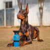 Wonderwoof Portable Water Bottle For Pets - Aqua Dog (Blue) - 500ml - Heads Up For Tails