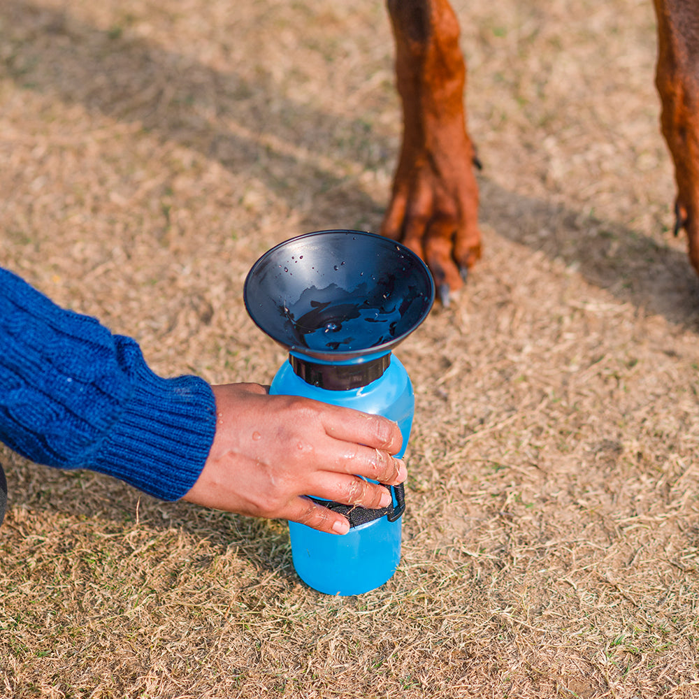 Wonderwoof Portable Water Bottle For Pets - Aqua Dog (Blue) - 500ml - Heads Up For Tails