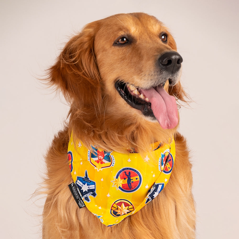 HUFT Marvel Captain Marvel Knot Dog Bandana - Heads Up For Tails