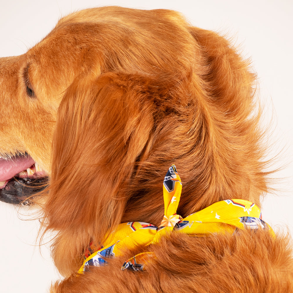 HUFT Marvel Captain Marvel Knot Dog Bandana - Heads Up For Tails