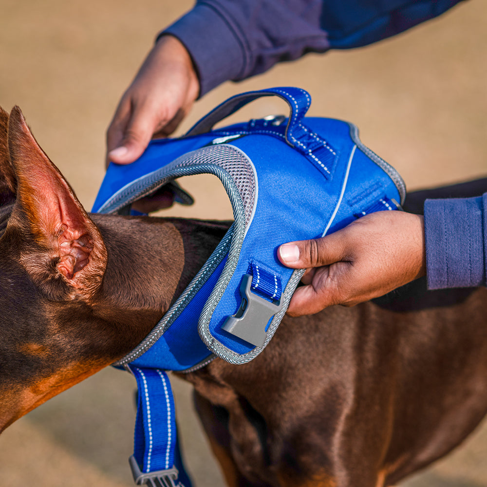 HUFT Easy On Dog Harness - Blue - Heads Up For Tails