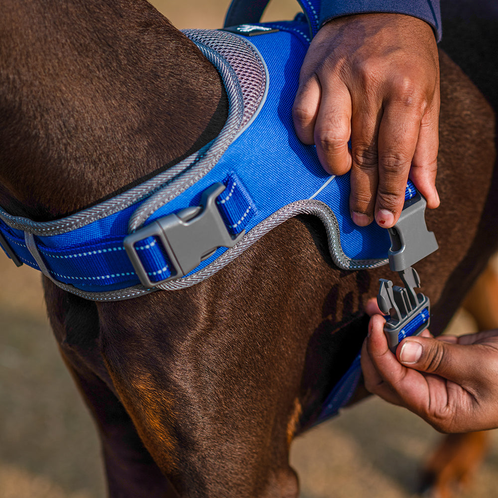 HUFT Easy On Dog Harness - Blue - Heads Up For Tails