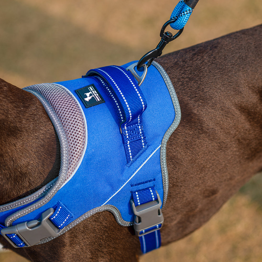 HUFT Easy On Dog Harness - Blue - Heads Up For Tails