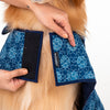HUFT The Indian Collective Tara Sitara Indigo Dog Jacket - Heads Up For Tails