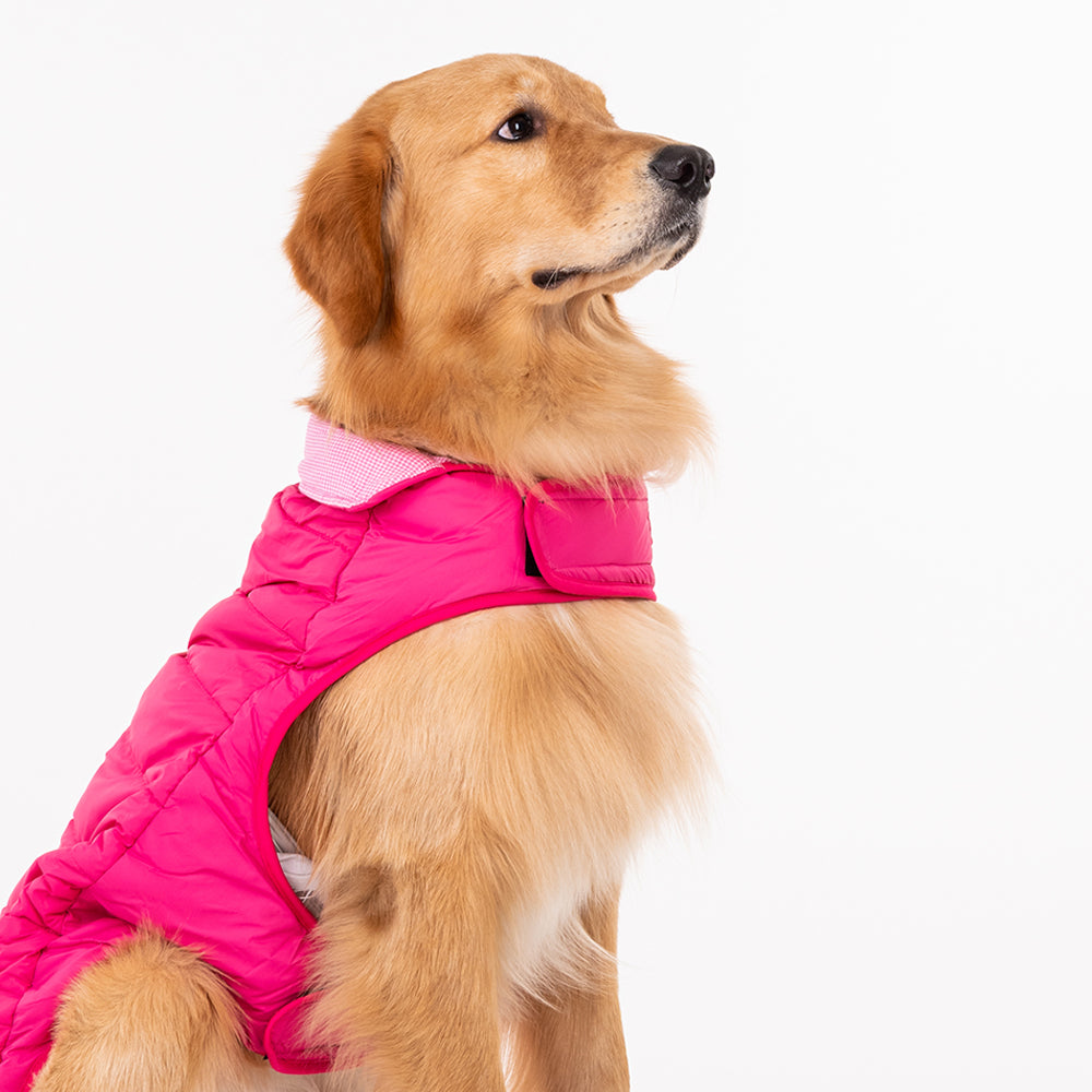 HUFT Reversible Dog Jacket - Pink - Heads Up For Tails