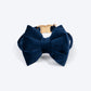 HUFT Sapphire Royale Velvet Collar With Bow Tie For Dogs - Navy - Heads Up For Tails