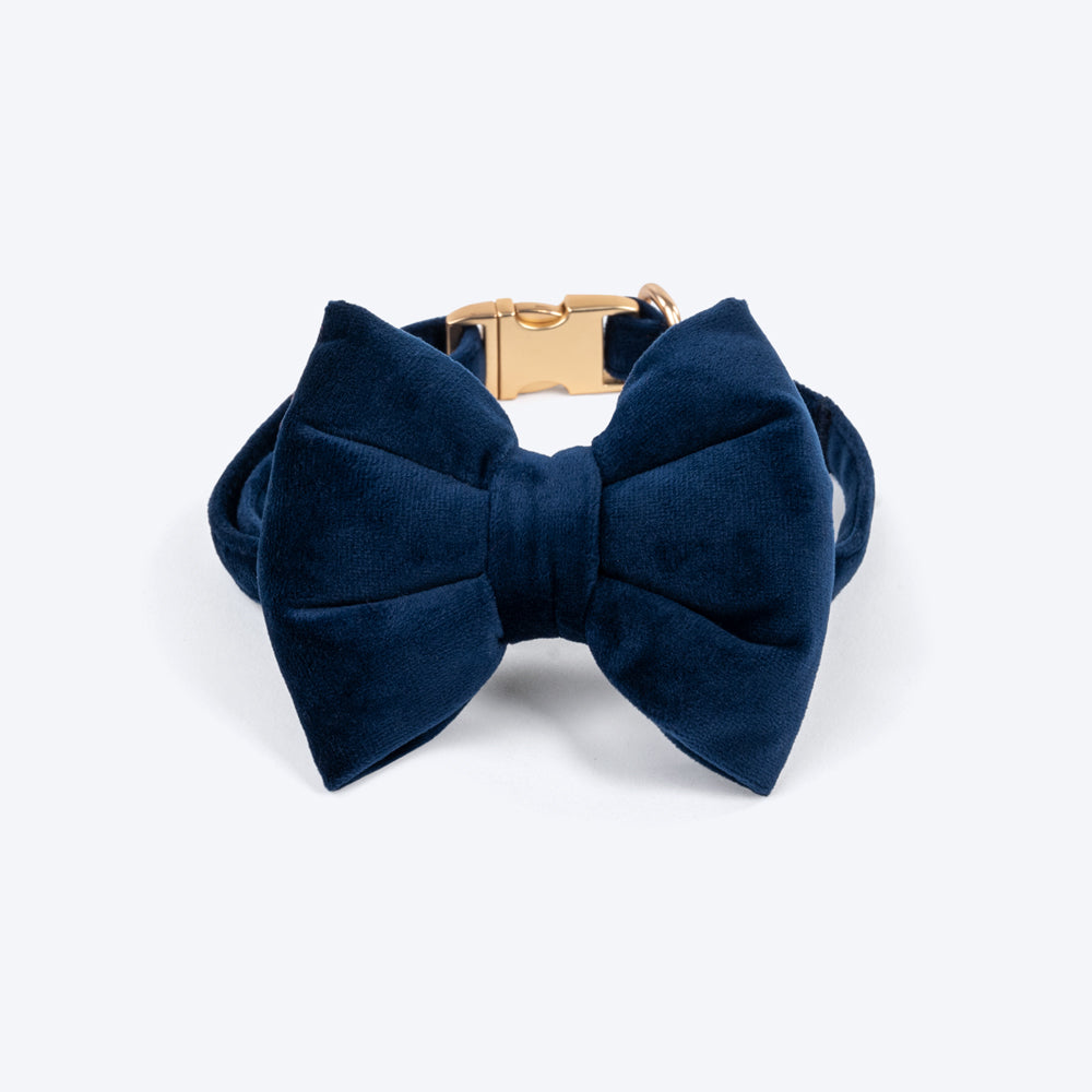 HUFT Sapphire Royale Velvet Collar With Bow Tie For Dogs - Navy - Heads Up For Tails