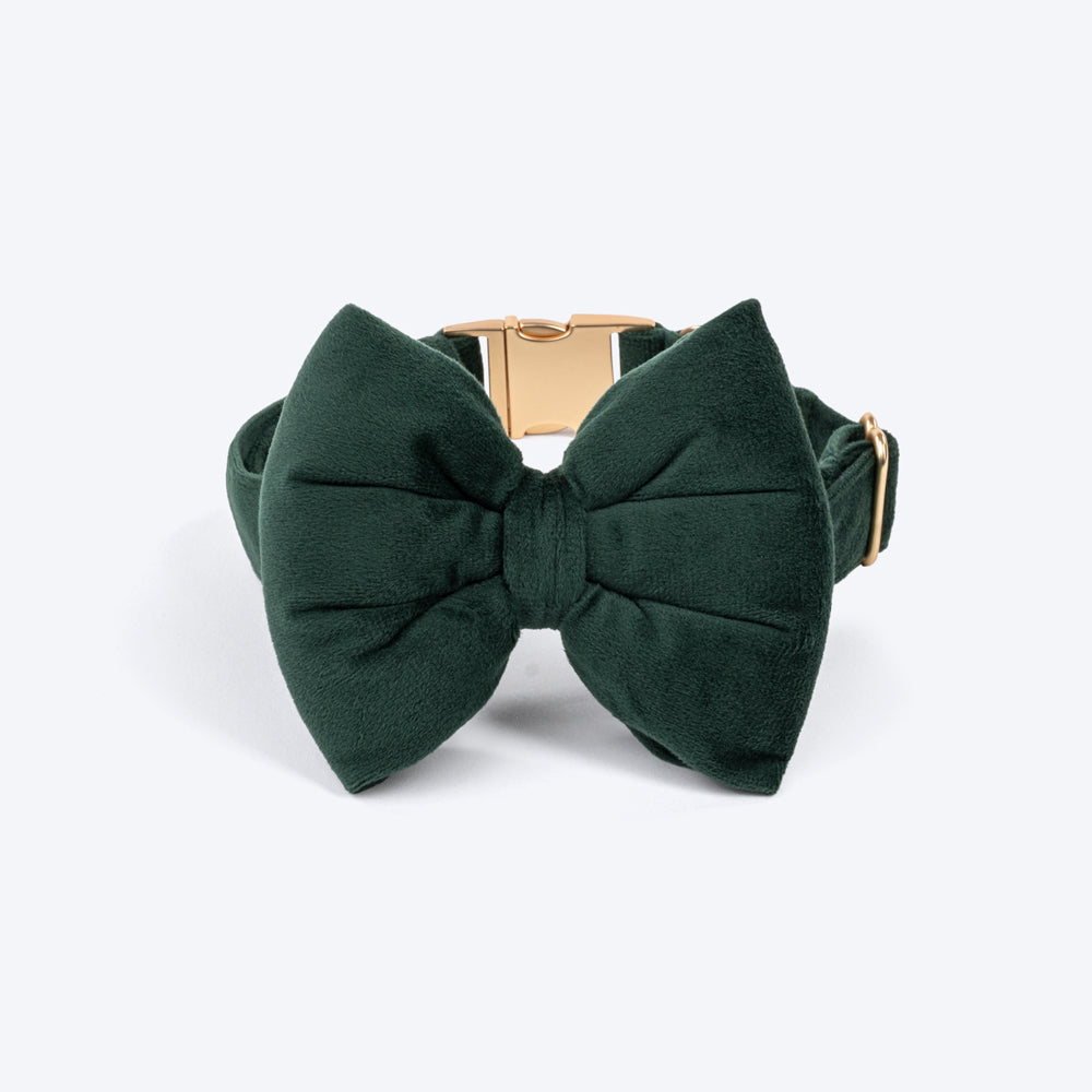 HUFT Emerald Royale Velvet Collar With Bow Tie For Dogs - Green - Heads Up For Tails