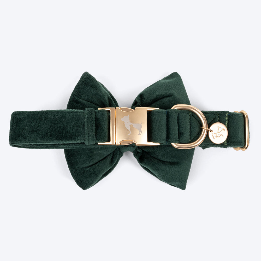 HUFT Emerald Royale Velvet Collar With Bow Tie For Dogs - Green - Heads Up For Tails