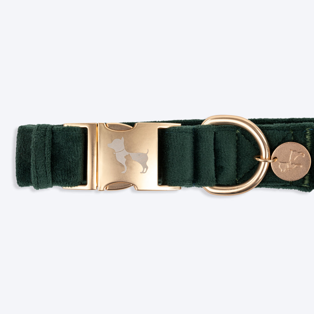HUFT Emerald Royale Velvet Collar With Bow Tie For Dogs - Green - Heads Up For Tails