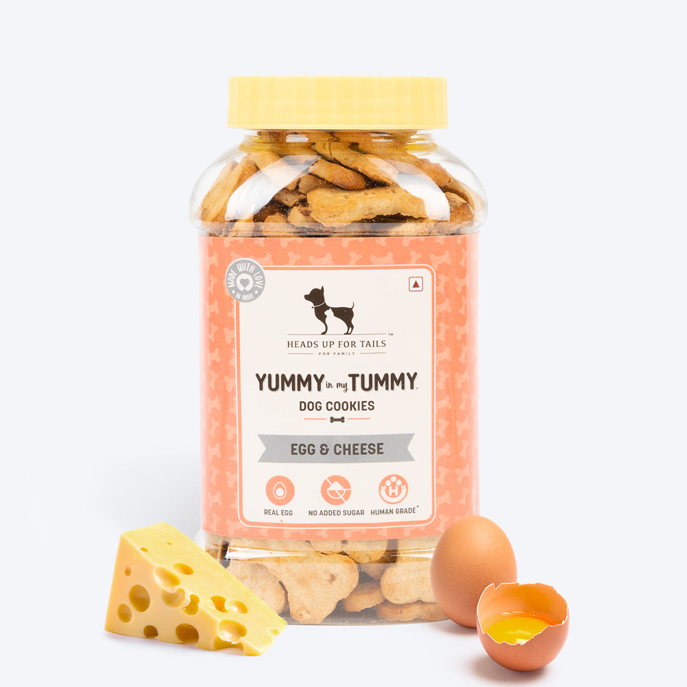 HUFT YIMT Egg & Cheese Dog Biscuits - Heads Up For Tails